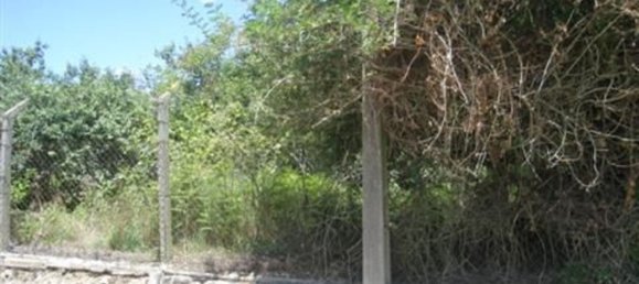 2200m² Land in Vila Nova de Gaia, Portugal No. 60343 9