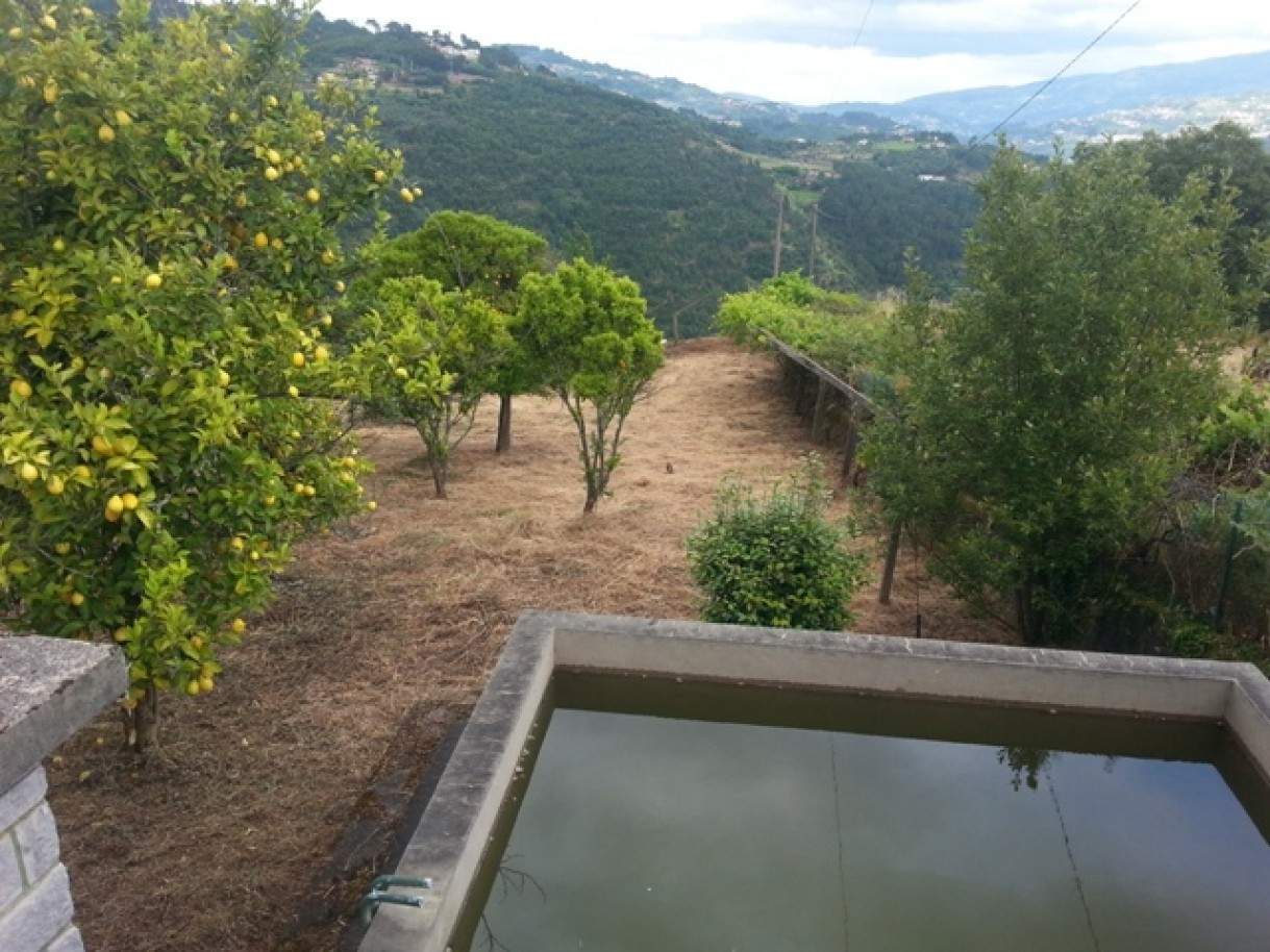  Land in Baiao, Portugal No. 61792