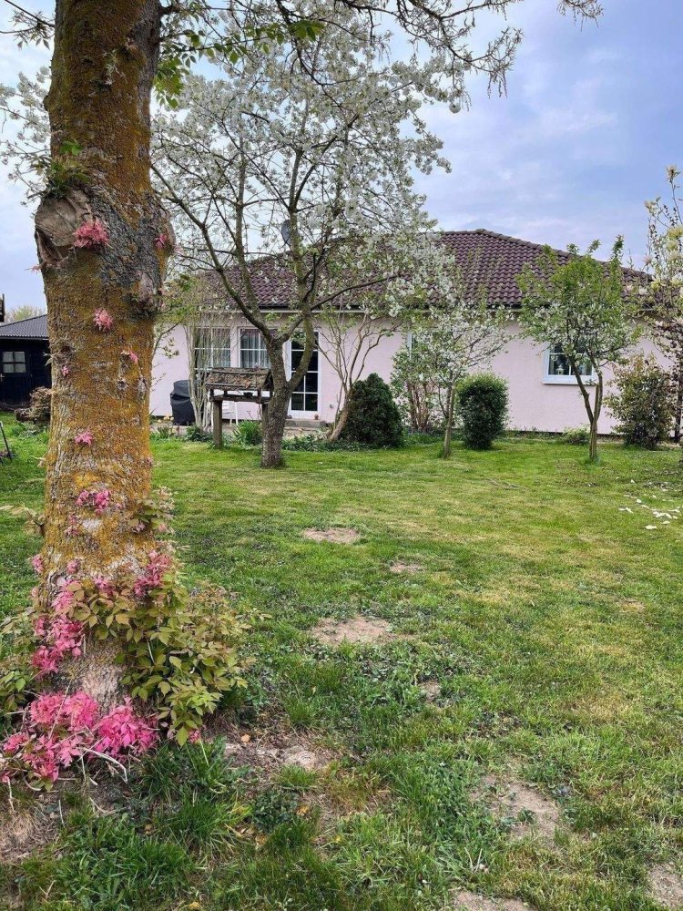 Bungalow de 4 habitaciónes en Gustrow, Germany No. 264849