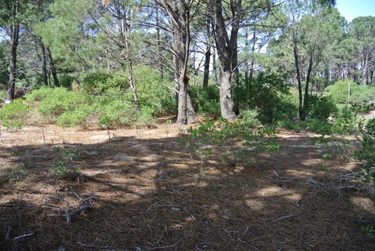 Grundstück in Maldonado, Uruguay, Nr. 15925