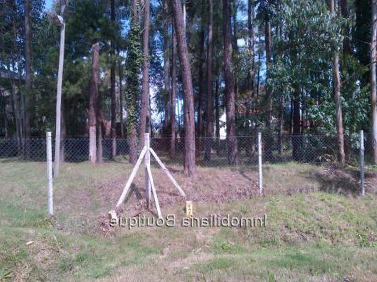  Land in Canelones, Uruguay No. 15405