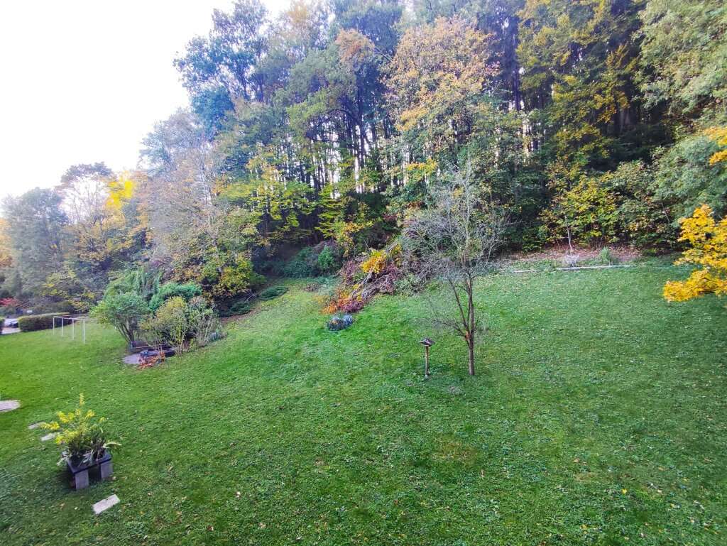 2غرفة شقة في Purkersdorf, Austria رقم 98344