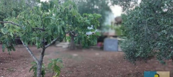 1 bedroom Villa in Francavilla Fontana, Italy No. 88428 12