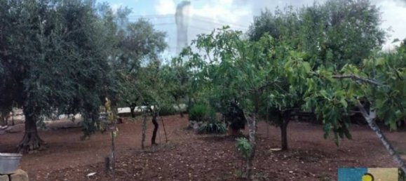 1 bedroom Villa in Francavilla Fontana, Italy No. 88428 13