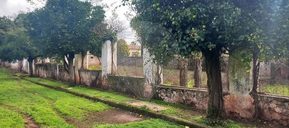 11 Schlafzimmer Haus in Alvaiazere, Portugal, Nr. 19623 27