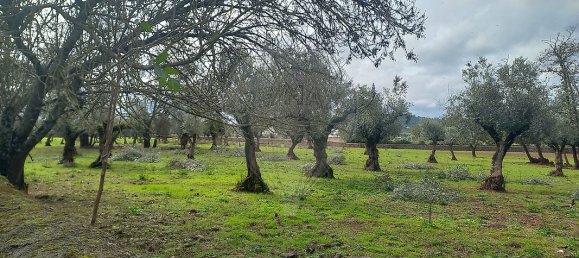 11 Schlafzimmer Haus in Alvaiazere, Portugal, Nr. 19623 3