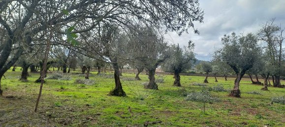11 Schlafzimmer Haus in Alvaiazere, Portugal, Nr. 19623 2