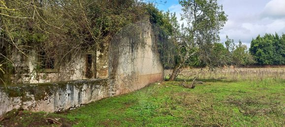 11 Schlafzimmer Haus in Alvaiazere, Portugal, Nr. 19623 18