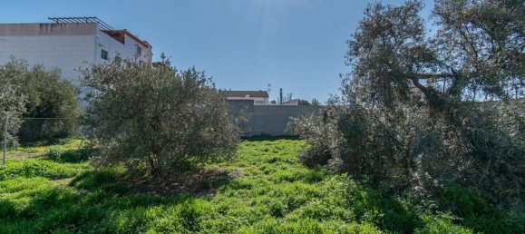  قطعة أرض في Granada, Spain 551متر مربع رقم 166475 20