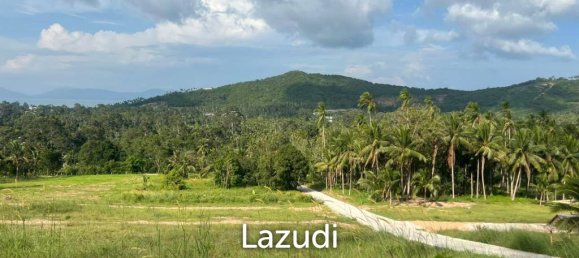  Land in Ko Samui, Thailand No. 27146 3