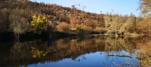 7 غرف نوم قلاع في Silgueiros, Portugal رقم 58258 44