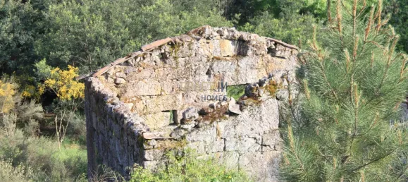 7 غرف نوم قلاع في Silgueiros, Portugal رقم 58258 23