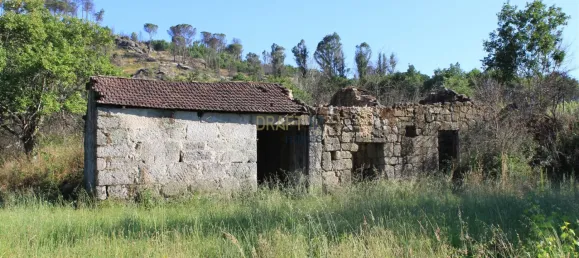 7 غرف نوم قلاع في Silgueiros, Portugal رقم 58258 27