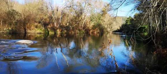 7 غرف نوم قلاع في Silgueiros, Portugal رقم 58258 42
