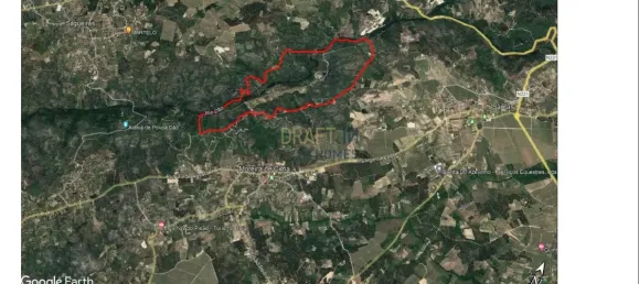 7 غرف نوم قلاع في Silgueiros, Portugal رقم 58258 48