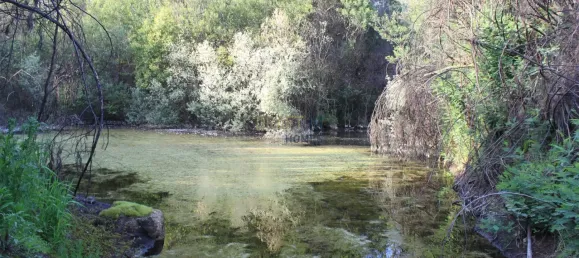 7 غرف نوم قلاع في Silgueiros, Portugal رقم 58258 35