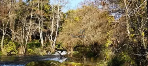 7 غرف نوم قلاع في Silgueiros, Portugal رقم 58258 43