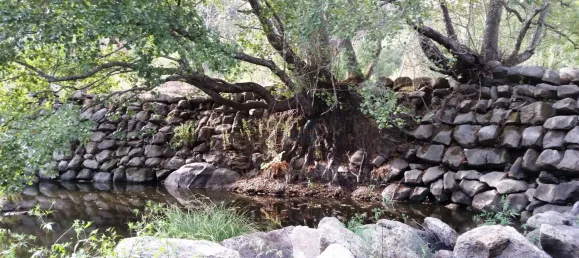 7 غرف نوم قلاع في Silgueiros, Portugal رقم 58258 32