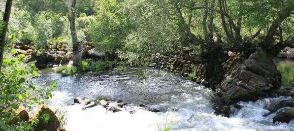 7 غرف نوم قلاع في Silgueiros, Portugal رقم 58258 38