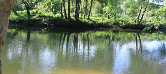 7 غرف نوم قلاع في Silgueiros, Portugal رقم 58258 7