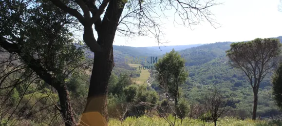 7 غرف نوم قلاع في Silgueiros, Portugal رقم 58258 45