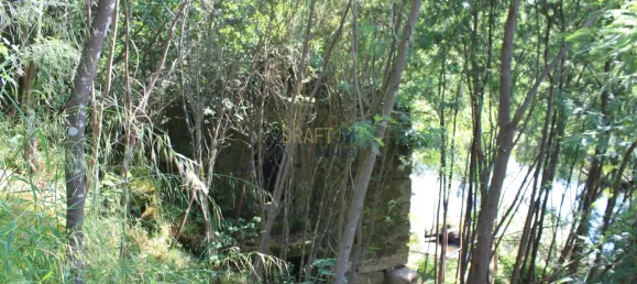 7 غرف نوم قلاع في Silgueiros, Portugal رقم 58258 3