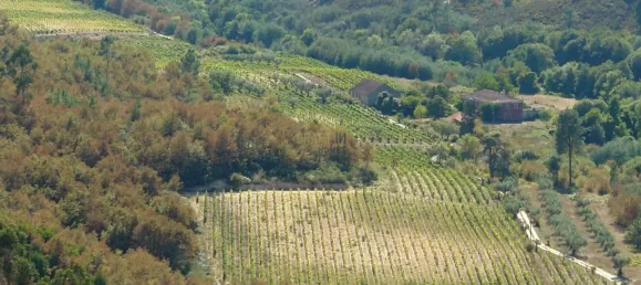 7 غرف نوم قلاع في Silgueiros, Portugal رقم 58258 10