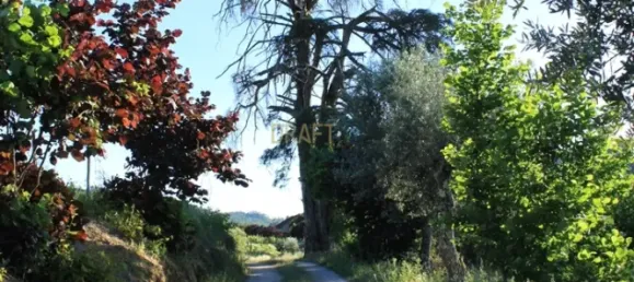 7 غرف نوم قلاع في Silgueiros, Portugal رقم 58258 39