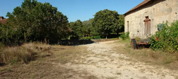 7 غرف نوم قلاع في Silgueiros, Portugal رقم 58258 18