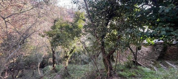 استوديو في Lavagna, Italy رقم 156402 14