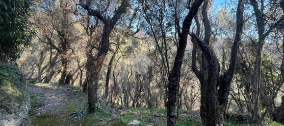 استوديو في Lavagna, Italy رقم 156402 4