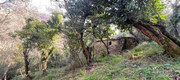 استوديو في Lavagna, Italy رقم 156402 13