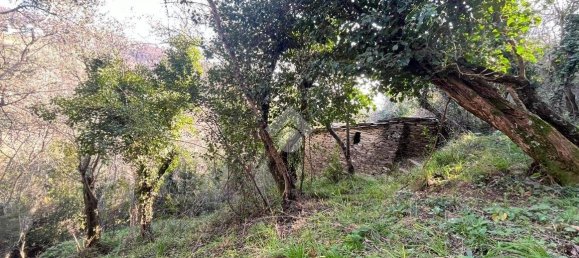 استوديو في Lavagna, Italy رقم 156402 5
