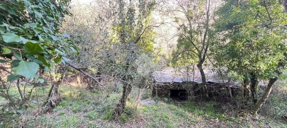 استوديو في Lavagna, Italy رقم 156402 10