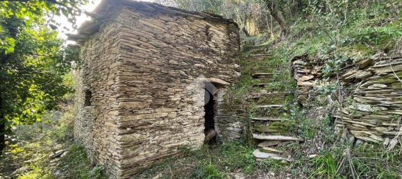 استوديو في Lavagna, Italy رقم 156402 3