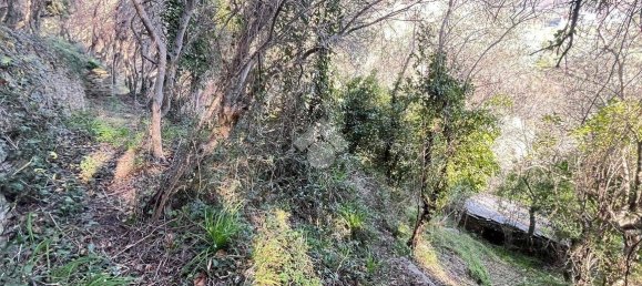 استوديو في Lavagna, Italy رقم 156402 7