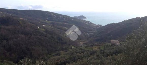 استوديو في Lavagna, Italy رقم 156402 9