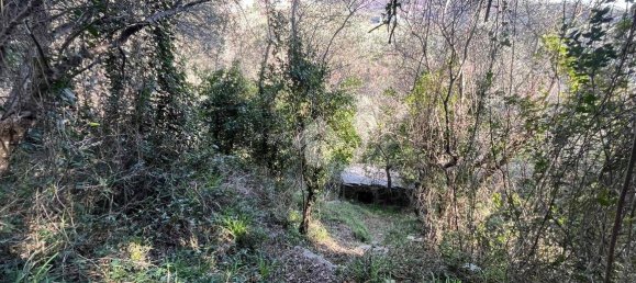 استوديو في Lavagna, Italy رقم 156402 15