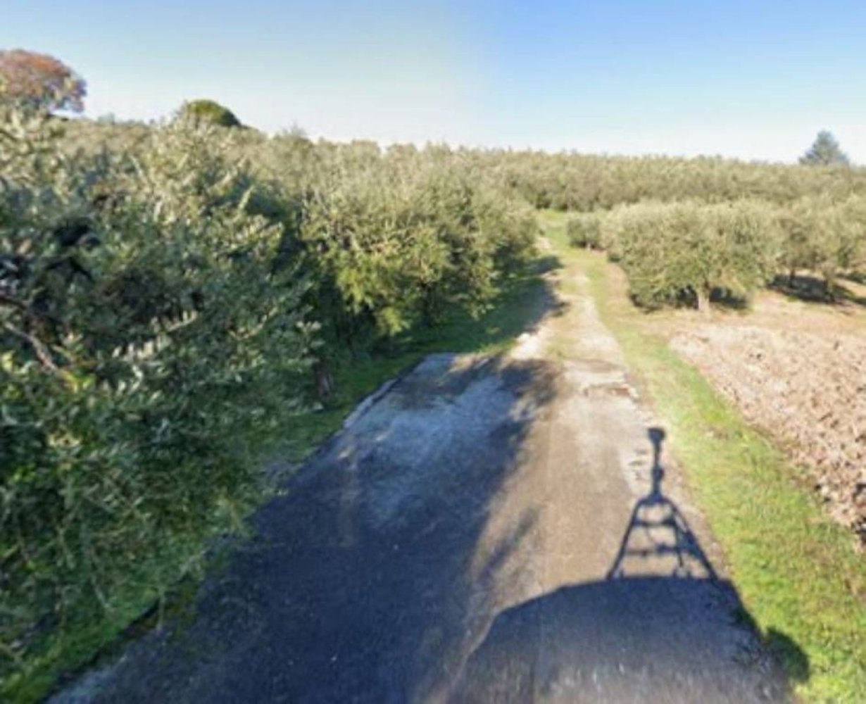 Terrain à Monte Urano, Italy 6975m² No. 342703