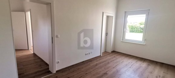 2 rooms House in Sollenau, Austria No. 146494 4