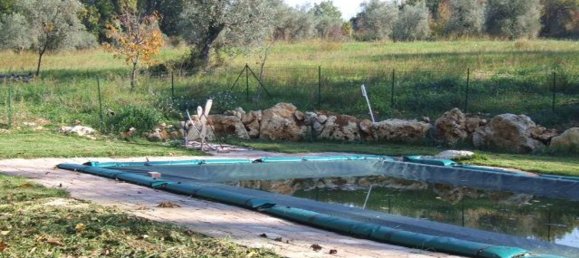 18 rooms Villa in Terni, Italy No. 158853 31