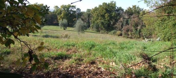 18 rooms Villa in Terni, Italy No. 158853 35