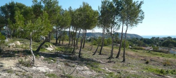 Земельный участок в Морайра, Испания № 90056 14