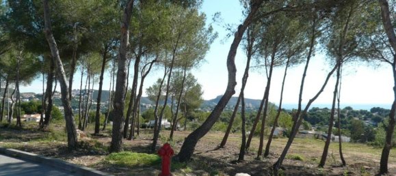 Земельный участок в Морайра, Испания № 90056 17