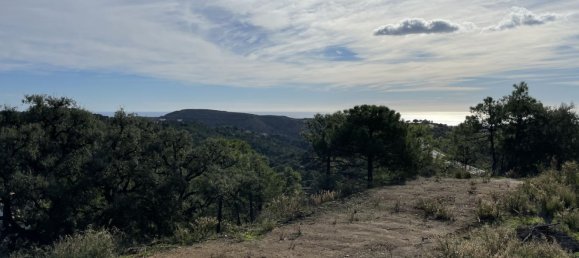 Grundstück in Malaga, Spain 4300m², Nr. 84563 7