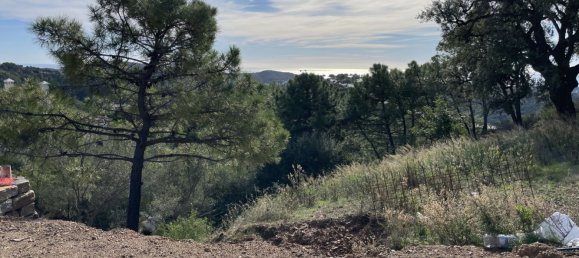 Grundstück in Malaga, Spain 4300m², Nr. 84563 8