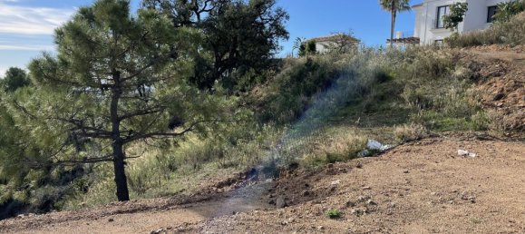 Grundstück in Malaga, Spain 4300m², Nr. 84563 9