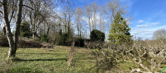  Land in Saint-Martin-de-Nigelles, France No. 82690 2