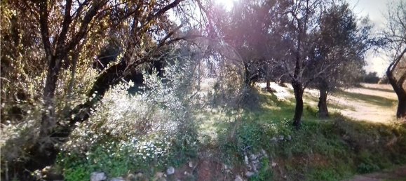 640m² Land in Paderne, Portugal No. 32436 3