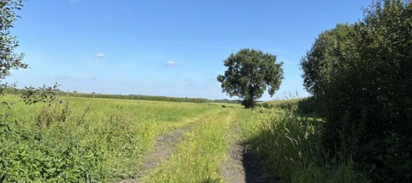  Land in Ammerland, Germany No. 319820 3